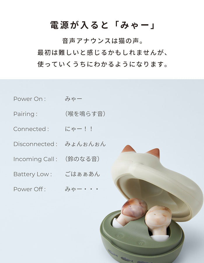 【本店】radius ラディウス Bluetooth5.3 対応 完全ワイヤレスイヤホン NEKO